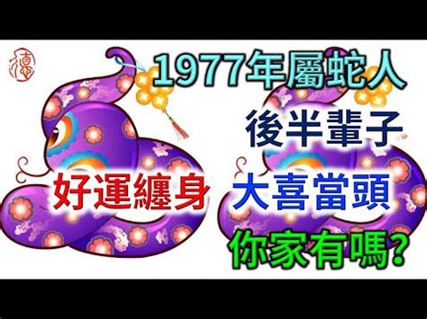 1977年屬什麼|關於1977年「生肖屬蛇人」，這一生命運如何？